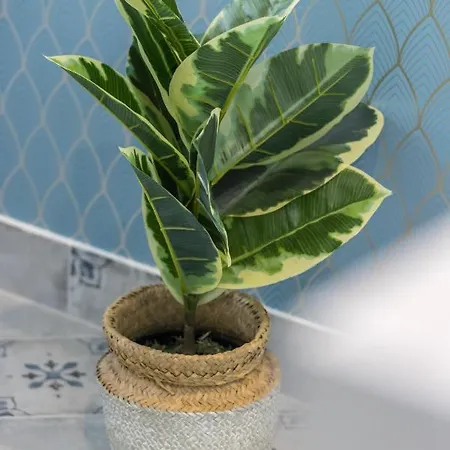 My Casa - Saint Siagre 1 * ניס